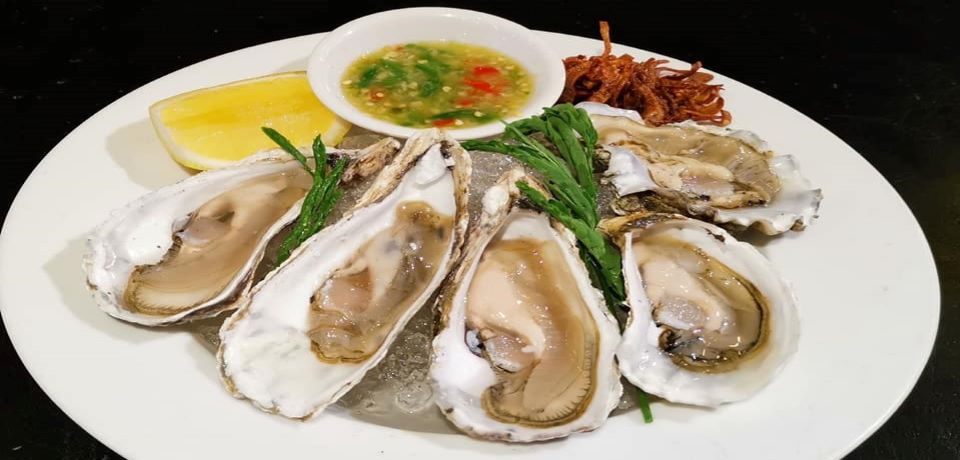 Oyster