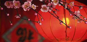 Chinese New Year Offer